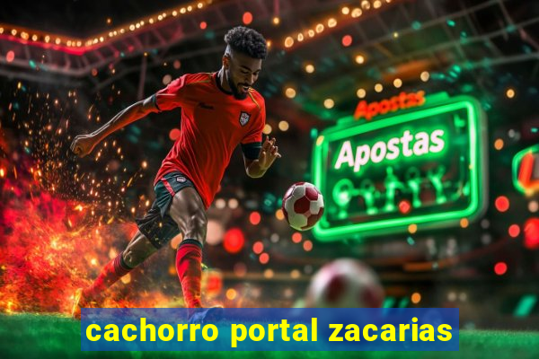 cachorro portal zacarias